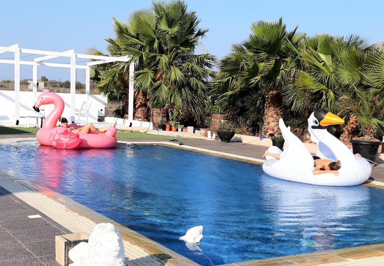 The Pervoli Studio - Pool - Close To Beach Ларнака Экстерьер фото